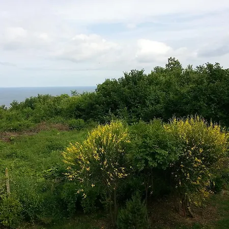 Hotell Sea View Family
