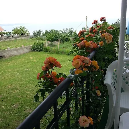 Szálloda Sea View Family 2*